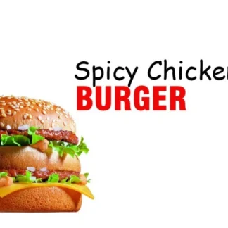 Spicy Chicken Burger(without cheese)